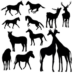 动物剪影 矢量 插图 斑马 长颈鹿 马