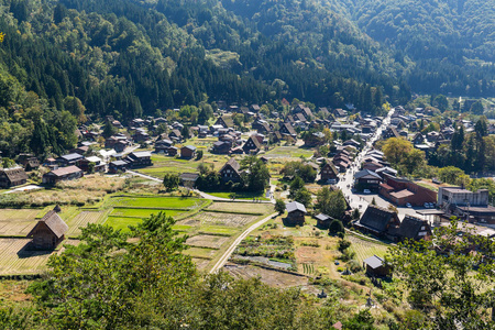 历史村白川乡