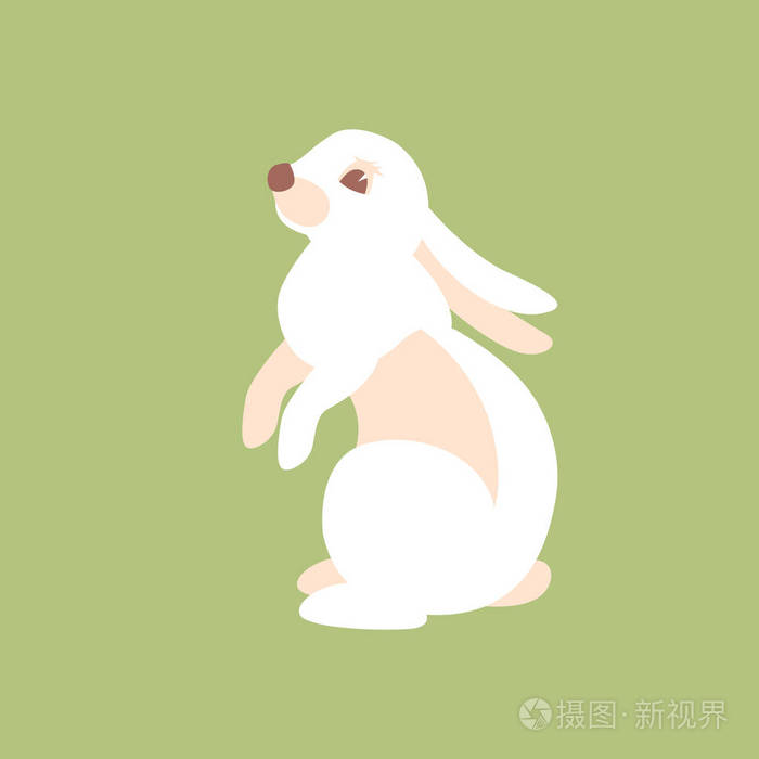 兔子矢量插画风格平