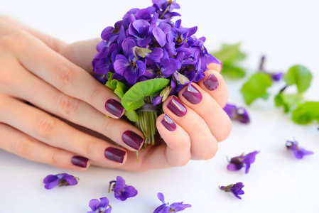 与暗紫色指甲指甲和束紫罗兰白色背景上一个女人的手