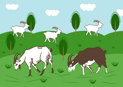 家养白鲢鱼图片-家养白鲢鱼素材-家养白鲢鱼插画-摄图新视界