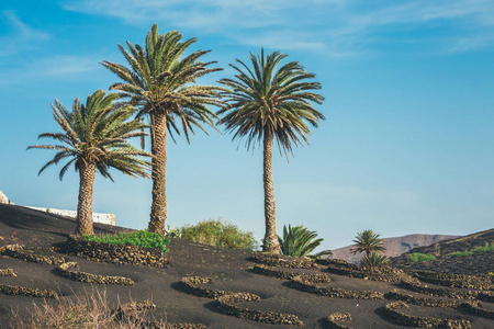 西班牙加那利群岛兰萨罗特岛的地质景观