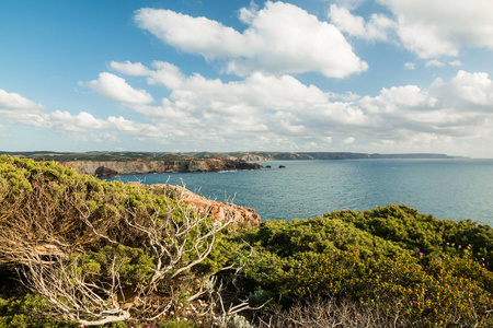 美丽的峭壁上葡萄牙西海岸附近拉各斯，在 4 月的罗塔 Vicentina