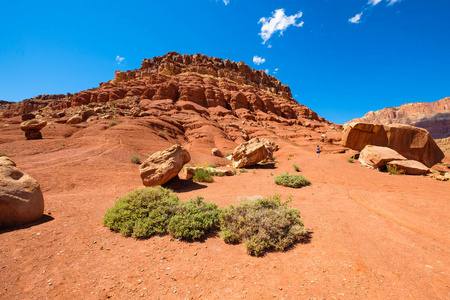 亚利桑那州沙漠景观照片
