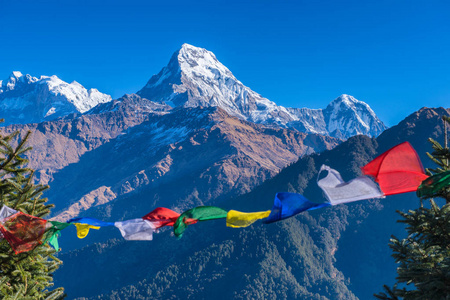 在山与雪岭从喜马拉雅山角度，尼泊尔博克拉美丽阴天日出