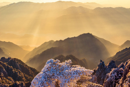 云层之上黄山国家公园的山峰