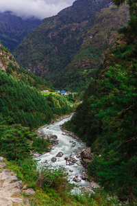 纯山区河流