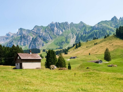 瑞士景观 山脉和碧绿的草地