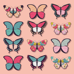 收集的十二个多彩手绘蝴蝶，粉红色的背景