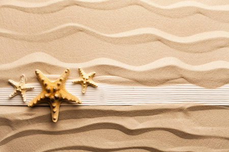 海星和木板在沙滩上