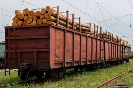 一辆马车,装载木材照片