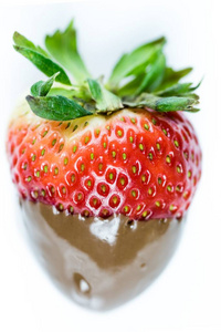 在白色背景上的巧克力草莓
