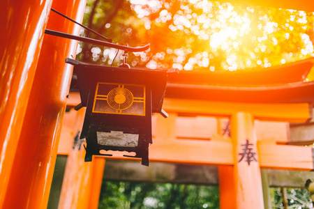 美丽的太阳光线在伏见 Inari 伏见 Inari 吉大社 红色日本神社神殿在秋天的秋天