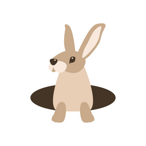 挖洞的兔子兔子洞中的矢量插画风格平照片