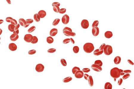 血红细胞中动脉，流概念人类健康医疗，3d 渲染上白色孤立的体内，
