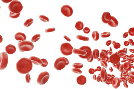 红血细胞 负责结转，调节 ph 值血 食物和保护的有机体的笼子里的氧气。3d 渲染上白色 backgorund 孤立