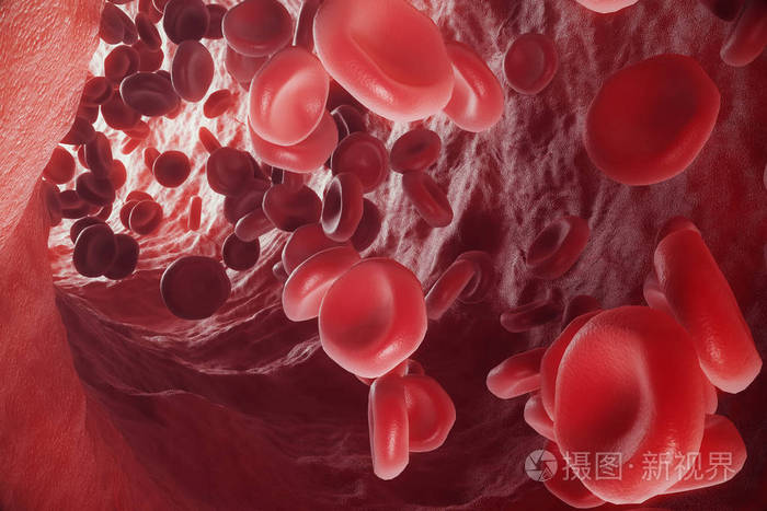 在静脉或动脉,血红细胞内一个活的有机体,3d 渲染内部流