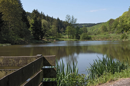 Niederreifenberg 与 Taunus，德国 Schmitten Baerenfichtenweiher