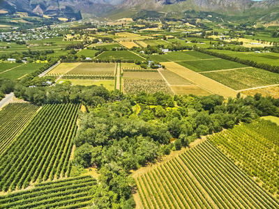 Franschoek 弗雷和山区农村