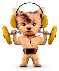 狗训练杠铃和听音乐