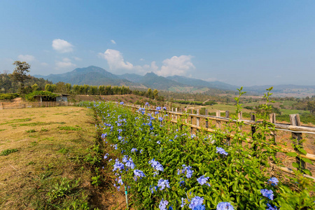 赖芸观点关闭排