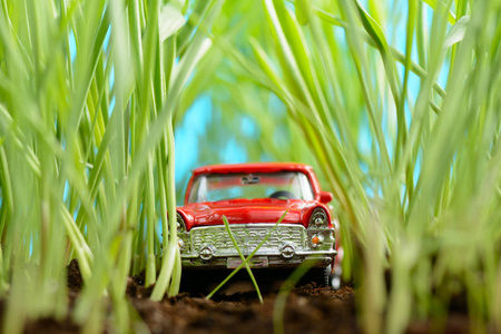 绿草丛中的红色老爷车模型