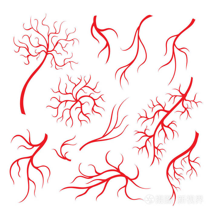 人眼脉,红血丝,血动脉