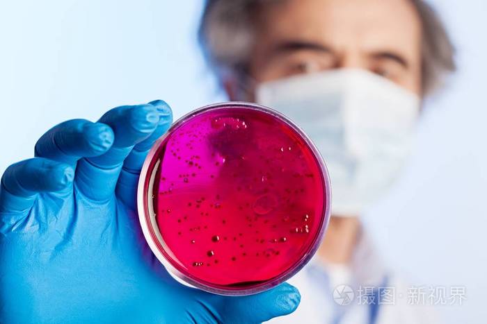 在科学家手中微生物学实验室测试照片-正版商用图片0u2y5k-摄图新视界