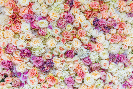花墙背景与惊人的红色和白色的玫瑰花，婚礼装饰，手工制作