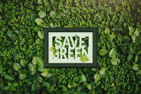 生态学的概念，绿色的词里面木制相框 周围的自然绿色叶保存