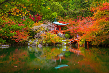 多彩的枫树在京都醍醐寺