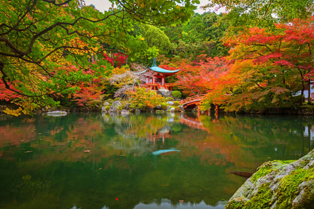 多彩的枫树在京都醍醐寺