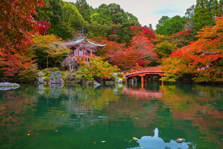 多彩的枫树在京都醍醐寺