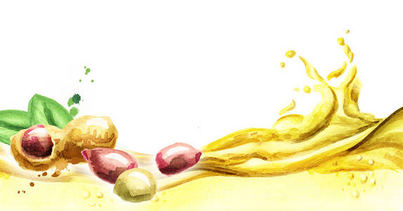 整株花生花生油波水彩照片