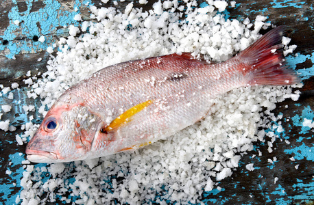 红鲷鱼鱼从渔业市场图片