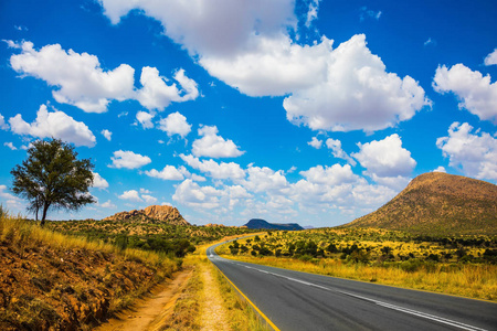 黄色的草和纳米比亚的高速公路