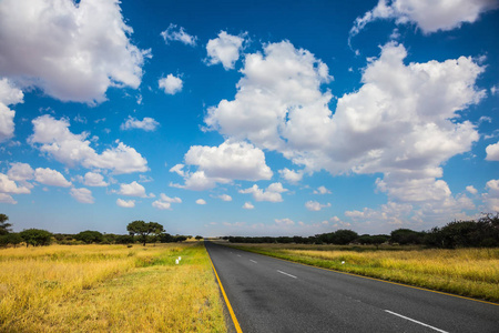 黄色的草和纳米比亚的高速公路