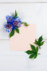 蓝色的花，粉红色木制背景板