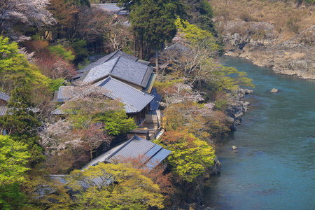 在日本京都岚山