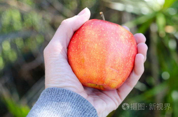 一只手握着一个红苹果
