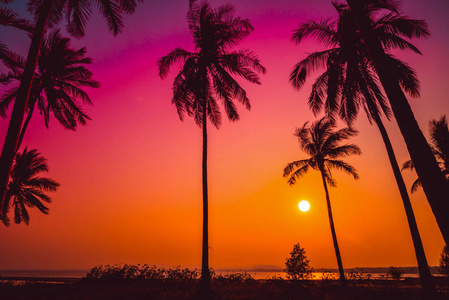 日落海滩上的剪影椰子棕榈树复古色调