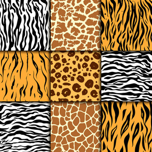 与猎豹皮肤的无缝模式。矢量背景。七彩斑马和虎 豹和长颈鹿异国动物打印