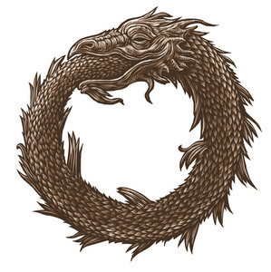 衔尾衔尾蛇.古代的神秘符号照片