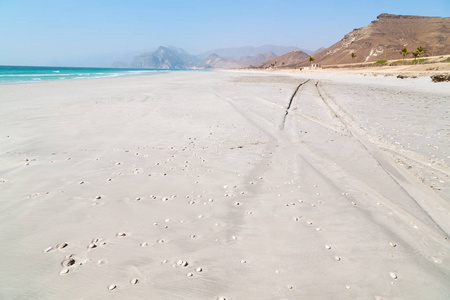 在阿曼阿拉伯海沙质海滩