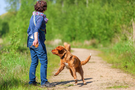 女人玩收费猎犬新斯科舍省鸭