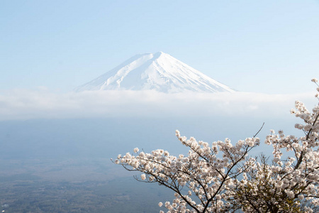 用樱花盛开的作为前景色为背景的日本富士山