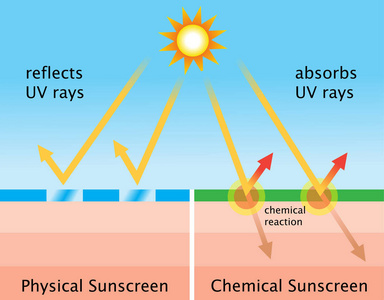 图中的化学防晒和物理防晒霜