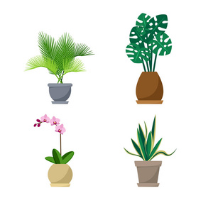 平面样式室内盆栽植物图片-平面样式室内盆栽植物素材-平面样式室内