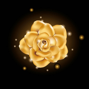 金子发光花照片