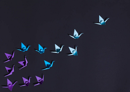 蓝色的折纸鸟群中